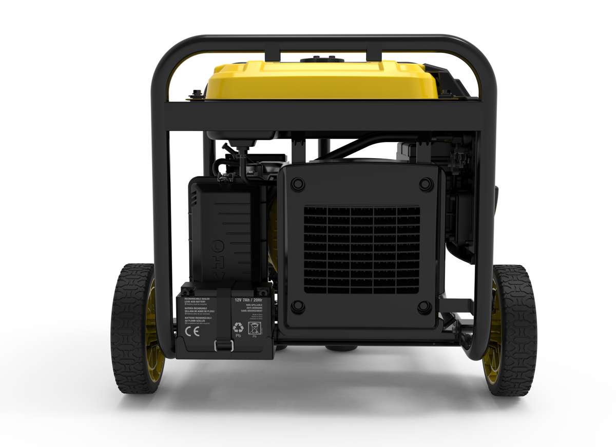 Champion 3600 Watt LPG Dual Fuel Inverter