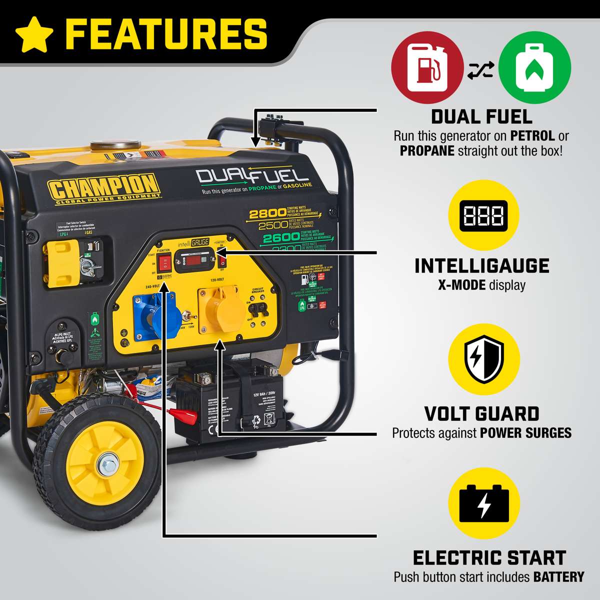 Champion 2800 Watt LPG Dual Fuel Generator